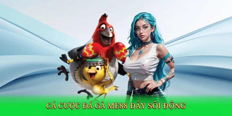 Cá cược đá gà ME88 đầy sôi động