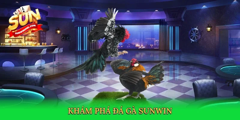 Khám phá đá gà Sunwin