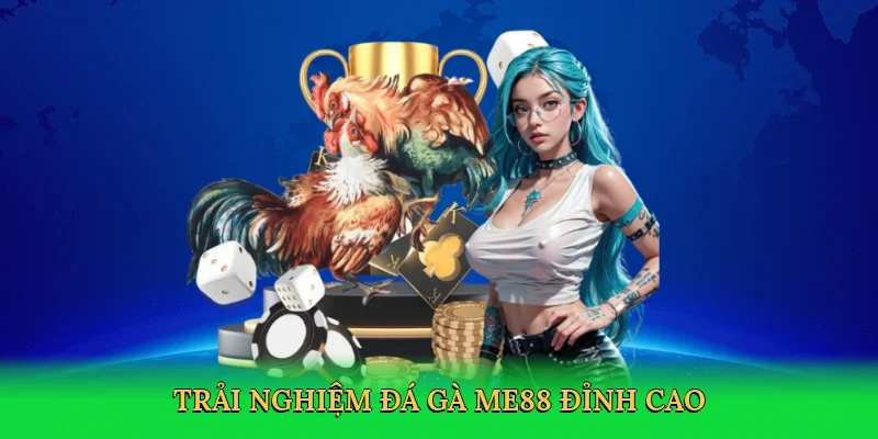Trải nghiệm đá gà ME88 đỉnh cao