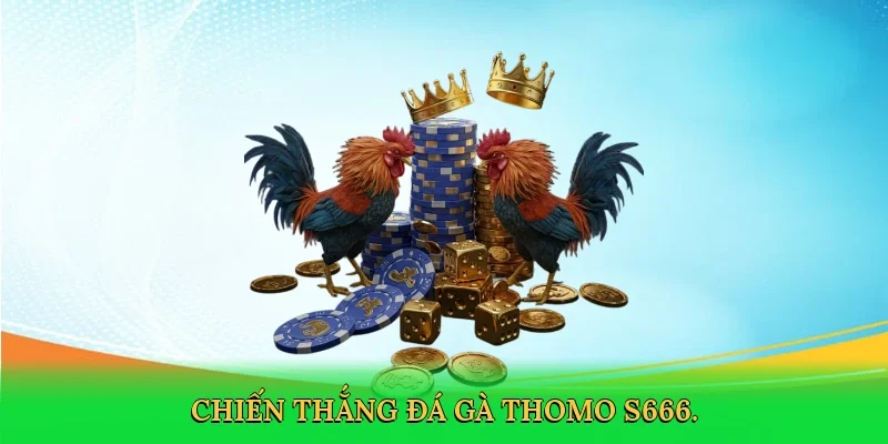 Chiến thắng đá gà Thomo S666.