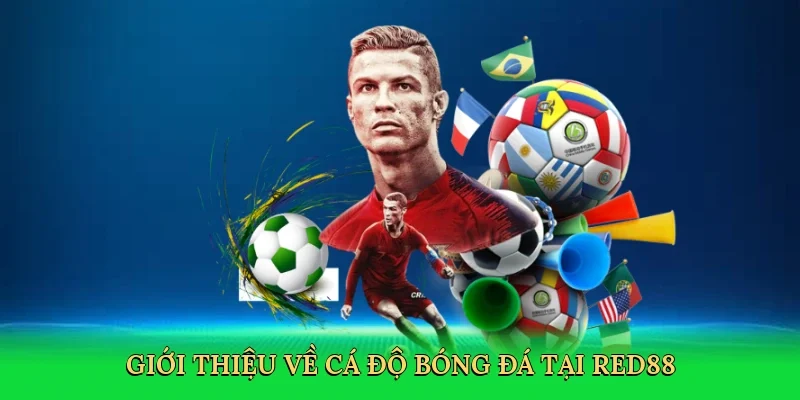 Giới thiệu về Cá độ bóng đá tại Red88
